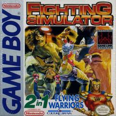 Jacksonville, NC - 2 In 1: Flying Warriors / Fighting Simulator - GameBoy