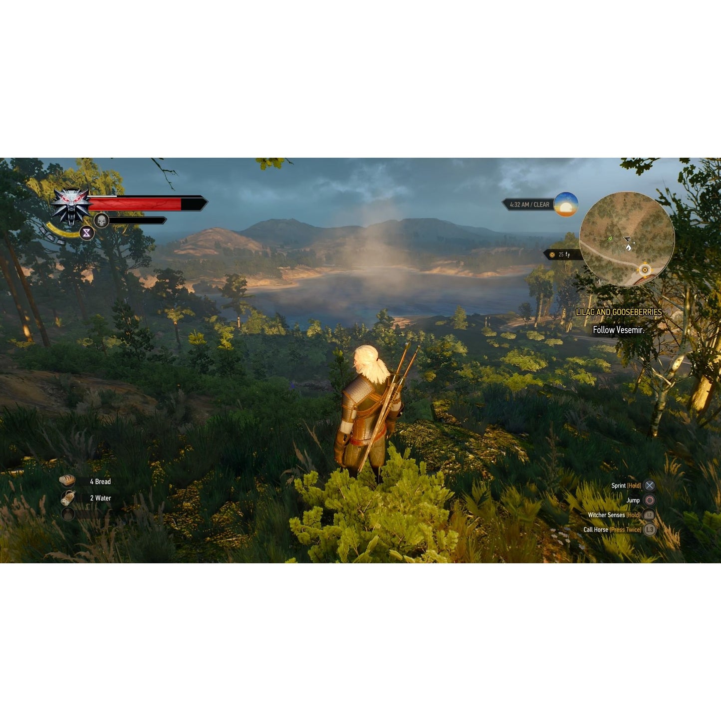 THE WITCHER 3 WILD HUNT (used)