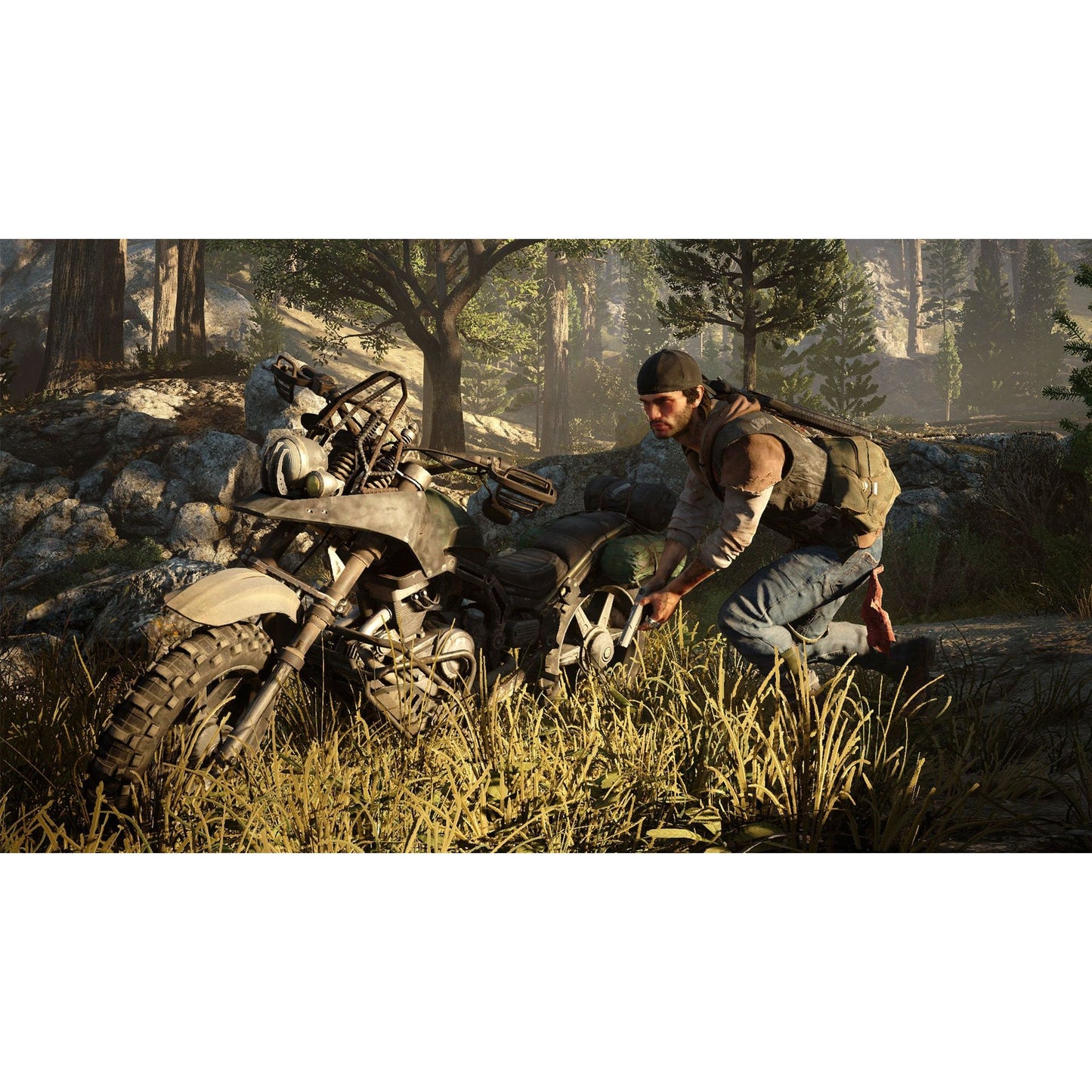DAYS GONE (used)