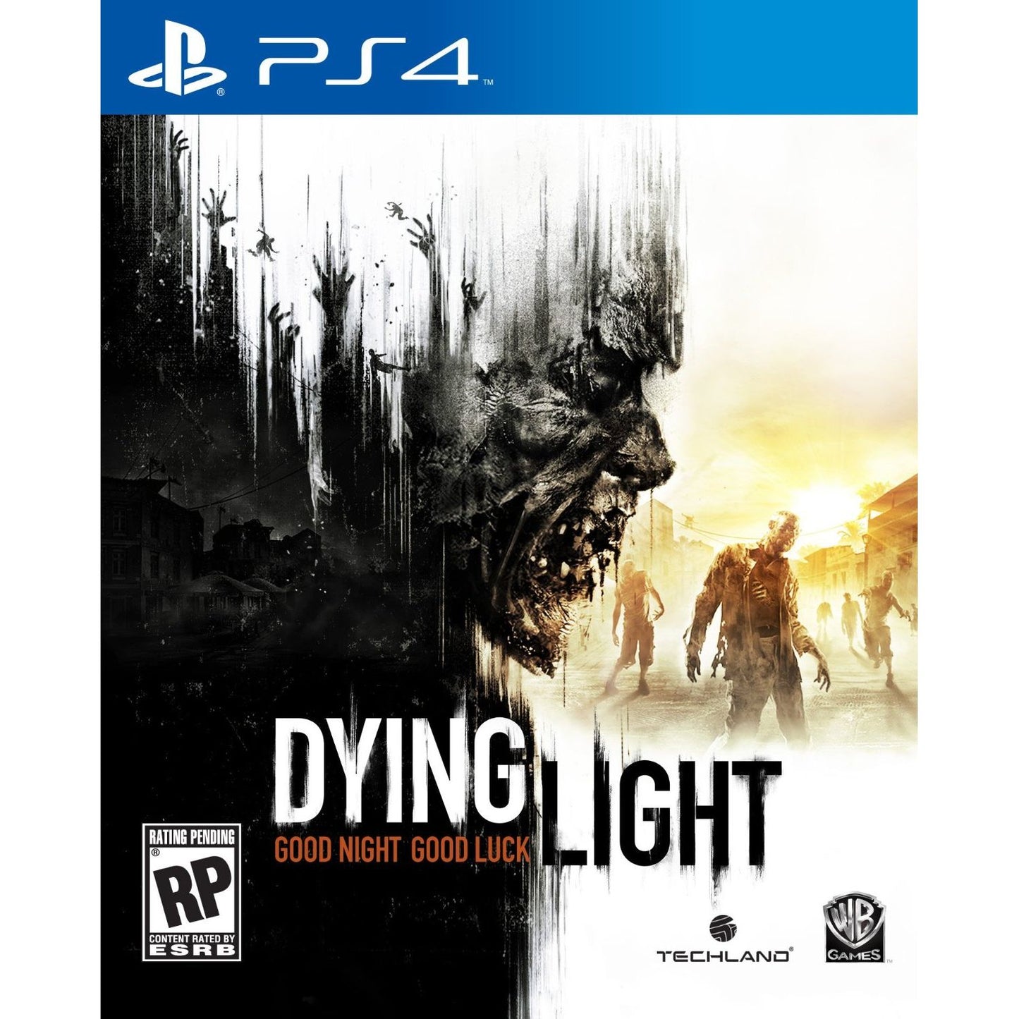 DYING LIGHT (used)